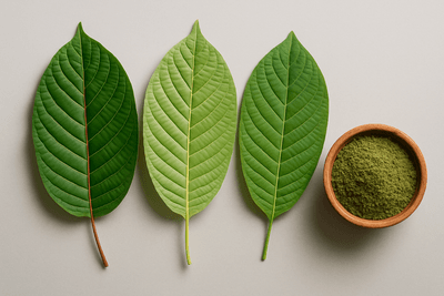 Kratom Sorten – Vergleich aller Venen-Farben & Herkunftsregionen